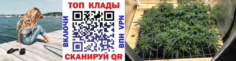 Где купить Льгов Бошки Шишки Альфа ПВП Псилоцибиновые грибы Cocaine Меф мяу мяу
