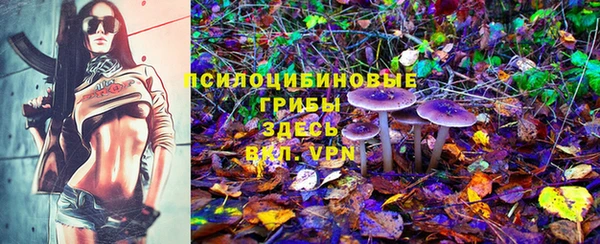 прущая мука Алзамай