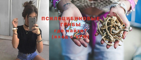 PSILOCYBIN Алексеевка