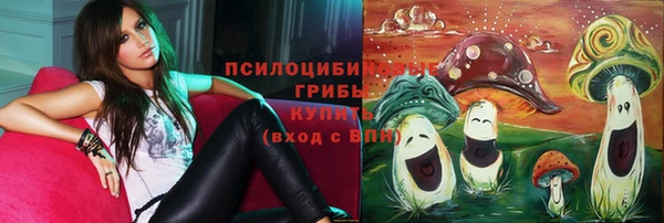 PSILOCYBIN Алексеевка