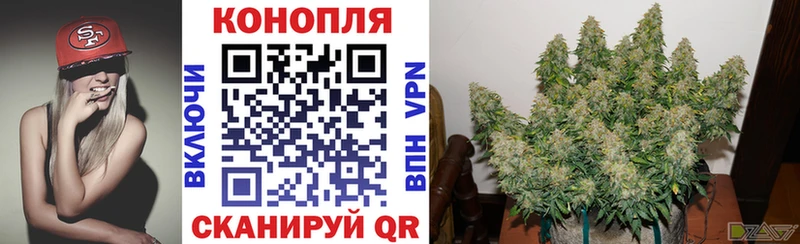 hydra вход  Льгов  МАРИХУАНА ГИДРОПОН 